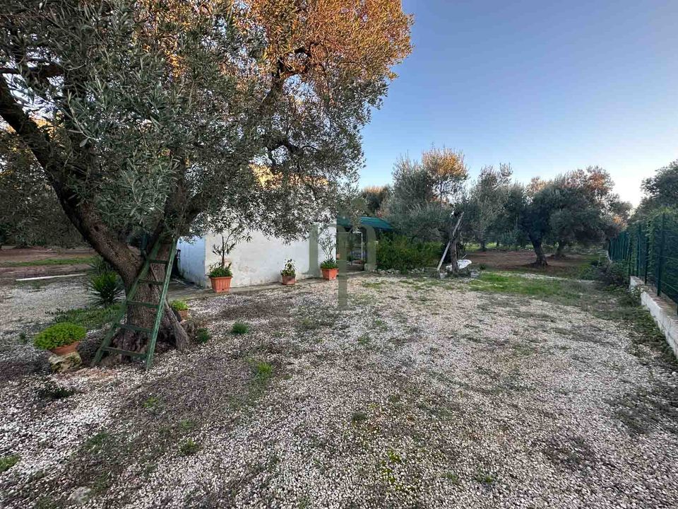 Ruin i Ostuni, Brindisi - bilde 5